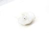 Brake Fluid Reservoir / Tank 34336871185 — photo 2