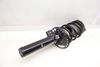Strut / Shock Absorber Assembly 31316871779 — photo 4